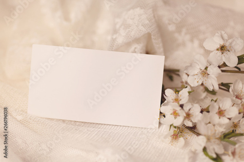 White spring flowers with blank card fot text