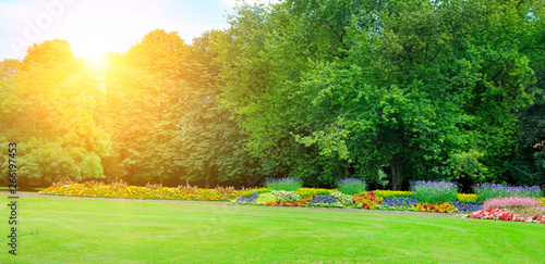 Garden with beautiful flowers and sun. Wide photo .