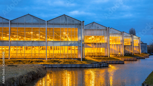Fotografija Illuminated industrial greenhouse