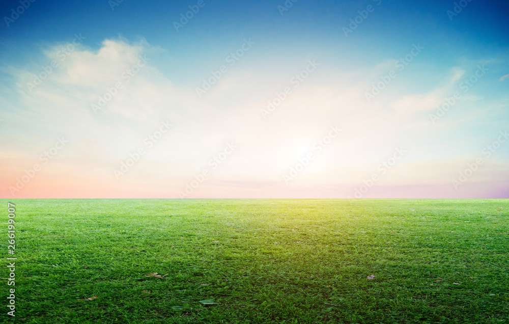 Grass field landscape panoramic Grass field landscape panoramic