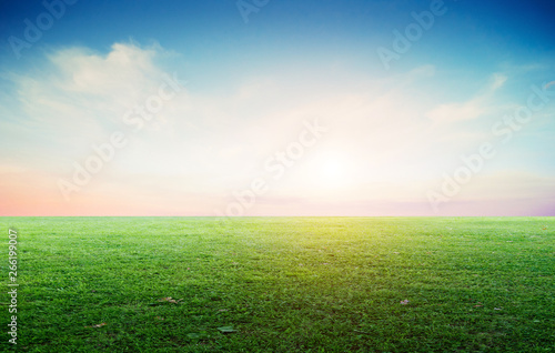 Grass field landscape panoramic