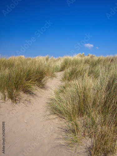 Fototapeta Naklejka Na Ścianę i Meble -  The beautiful sand dunes of Instow beach in North Devon , England