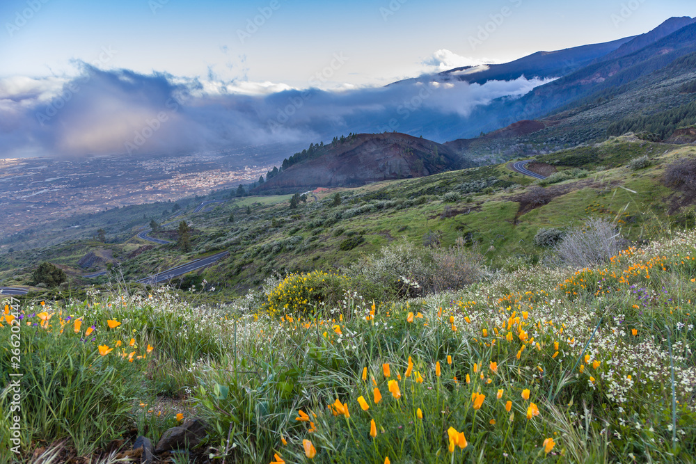 Landscape view under Teide National Park, Tenerife