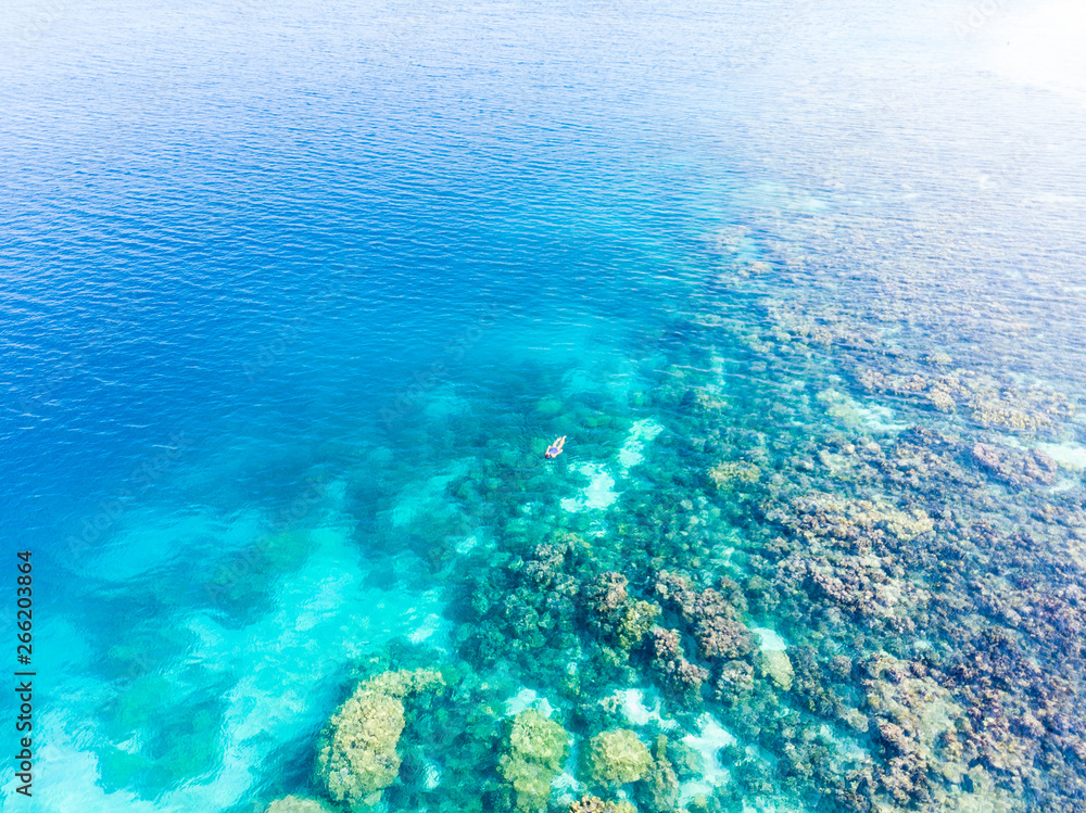 Fototapeta premium Aerial top down people snorkeling on coral reef tropical caribbean sea, turquoise blue water. Indonesia Wakatobi archipelago, marine national park, tourist diving travel destination