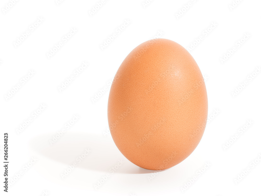 Brown standing egg isolated with clipping path Brown standing egg isolated with clipping path