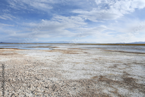 China, Tibet. The store of the lake Ngangtse (Nganga Tso (4690 m)) in cloudy day in summer