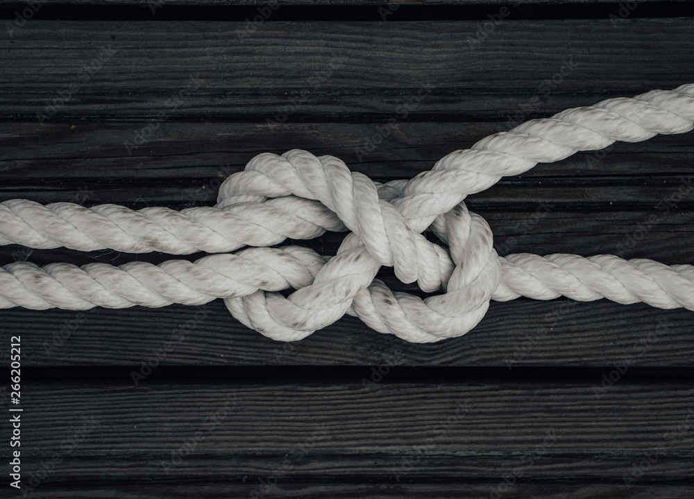 Fototapeta premium Sheet bend