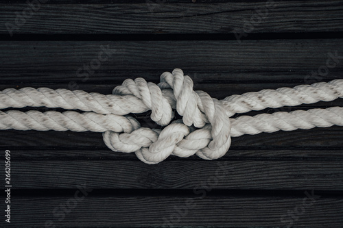 Academic knot © Warpion