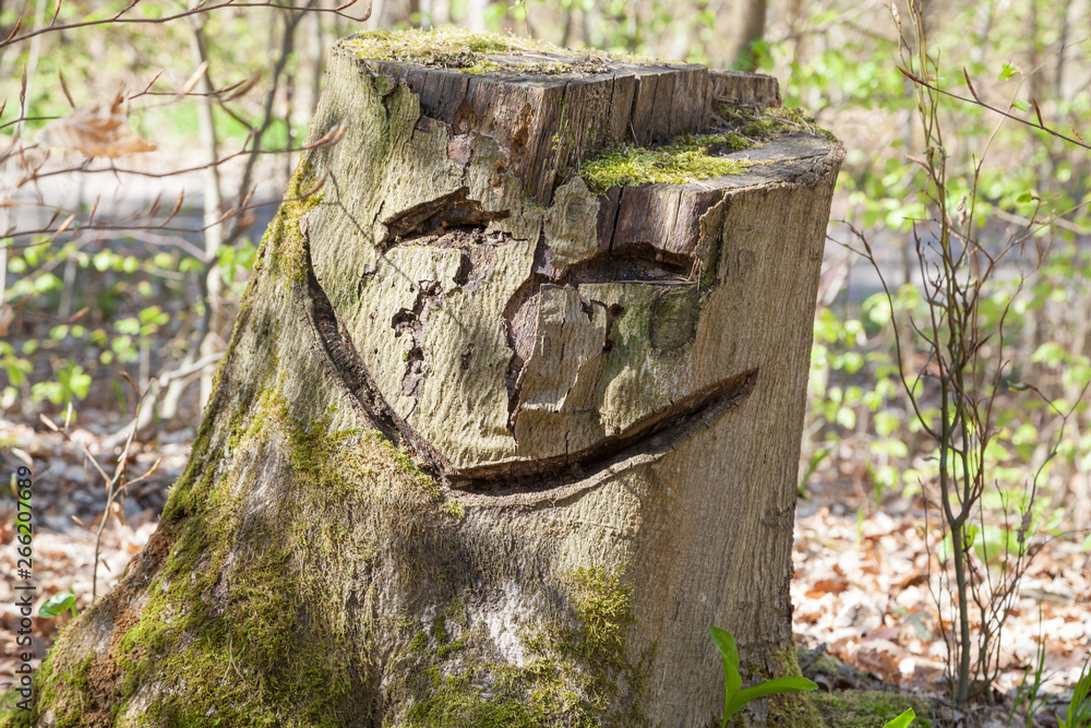 Fototapeta premium Gesicht auf Baumstumpf 