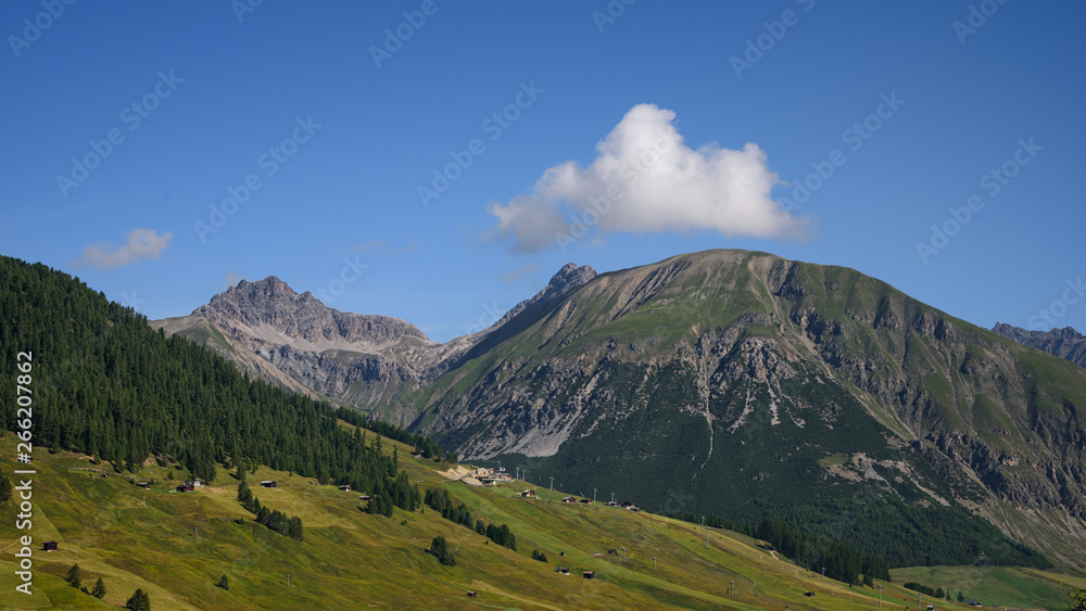 Beautiful summer landscape from Livigno in Italy: mountains with pine trees and green grass, blue sky with a white cloud over the mountain top, travel photography