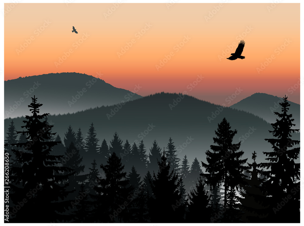 Landscape. Panorama of mountains. Sunset. Mist. Flying eagles.