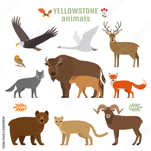 Set of forest animals, birds and plants in a cartoon style. Flat vector illustration isolate © Ольга Погорелова
