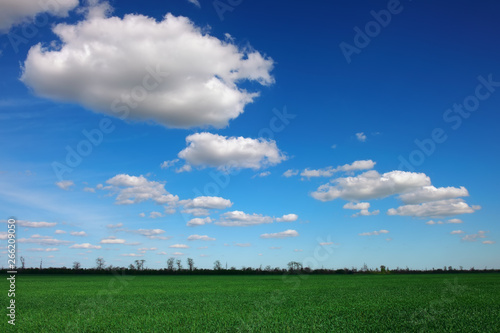 Beautiful landscape with an amazing blue cloudy sky and green grass