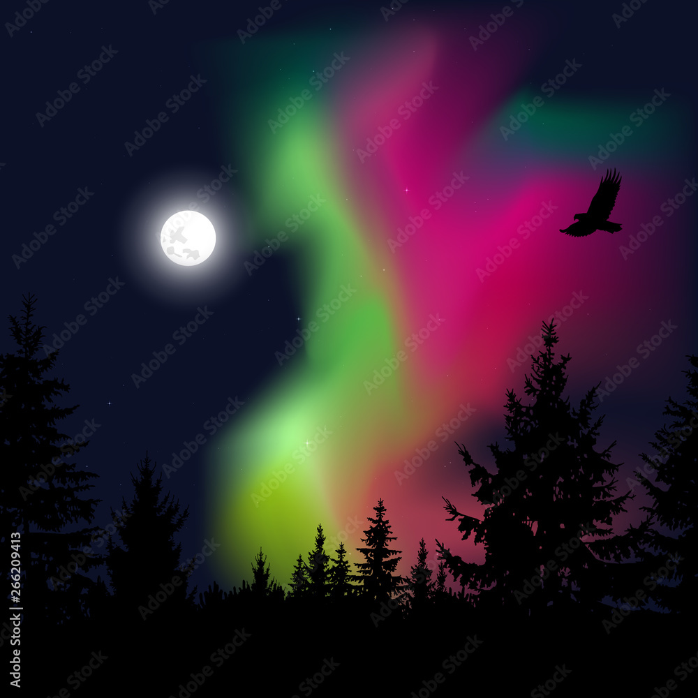 Silhouette of coniferous trees on the background of colorful sky.  Flying eagle. Night. Green  and pink northern lights.
