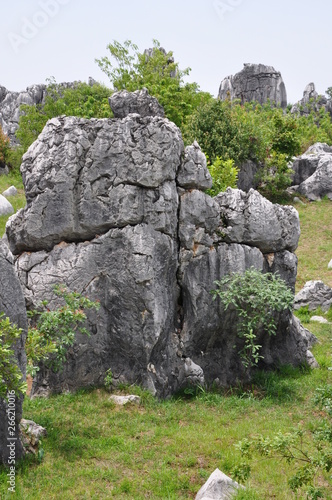 The Stone Forest. Shilin, Yunnan, China.