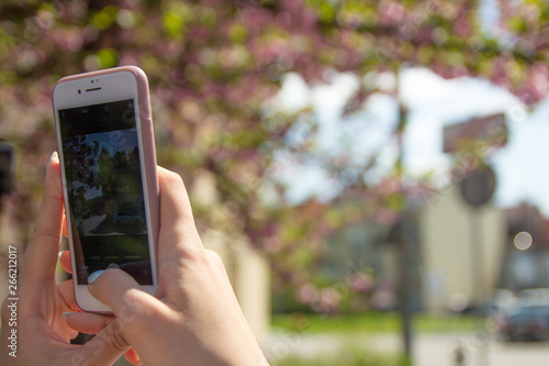 The hand of a person taking the picture of tree on the smartphone