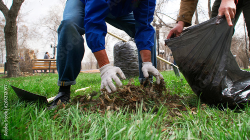 Men collect old dry leaves in spring park