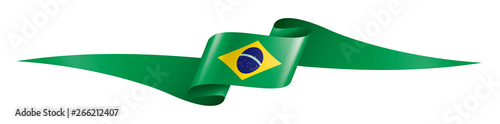 Brazil flag, vector illustration on a white background