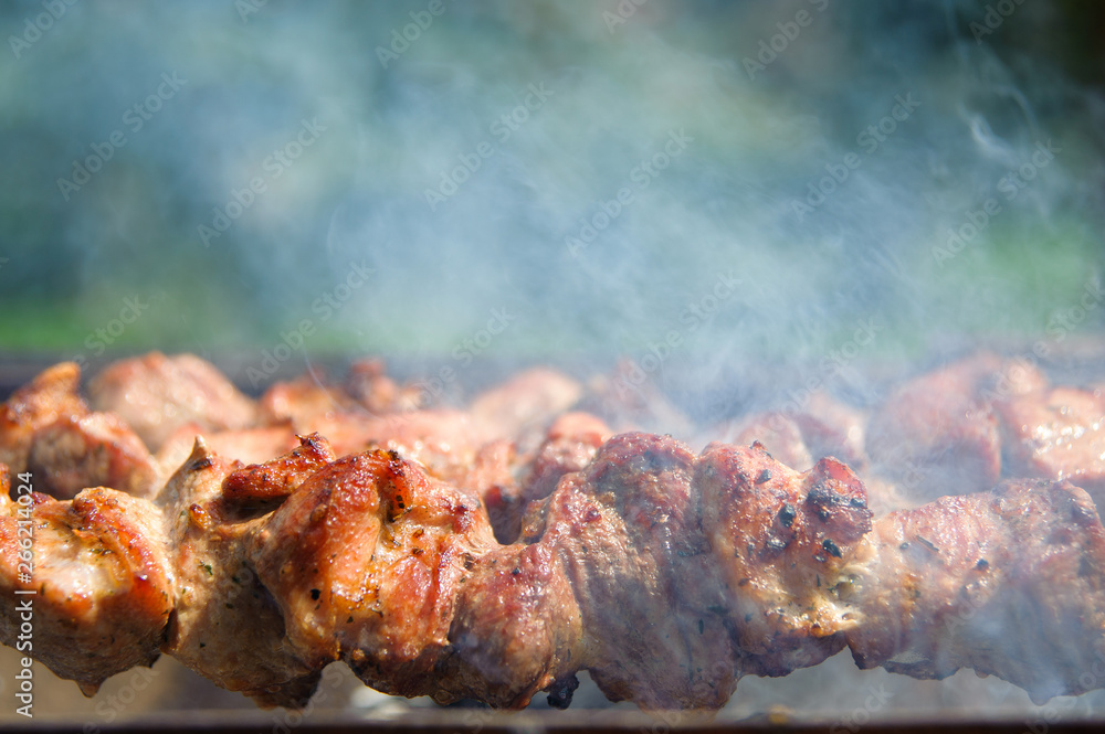 Fresh tasty barbecue with meat kebab in brazier outdoors