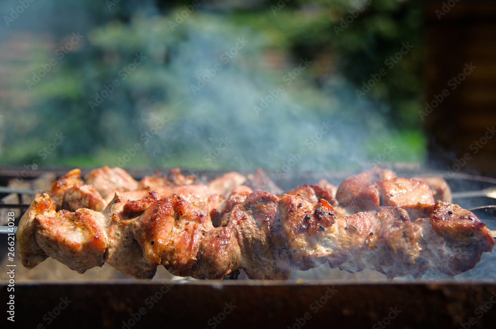 Fresh tasty barbecue with meat kebab in brazier outdoors