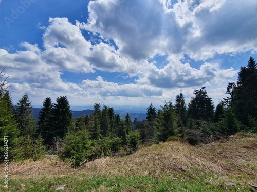 Spring landscape in the Polish mountains, Czantoria, Poland