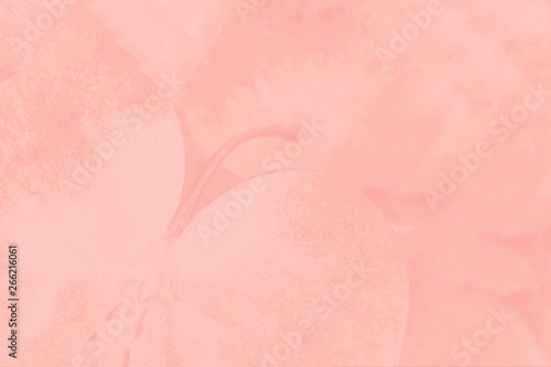 Light pink coral color background with delicate apple pattern © kvitkanastroyu