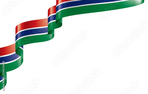 Gambia flag, vector illustration on a white background