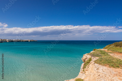 The bay of Torre dell'Orso, with its high cliffs, in Salento, Puglia, Italy. Turquoise sea and blue sky, sunny day in summer. Panorama of the sea on the horizon and houses on the reef. © Ragemax