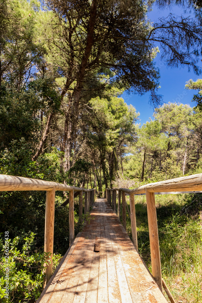 A long wooden bridge, in perspective, crosses the pine forest, to reach the beach of Torre dell'Orso, in Salento, Puglia, Italy, Otranto, Melendugno. Railing and wooden handrail. Vanishing Point. A long wooden bridge, in perspective, crosses the pine forest, to reach the beach of Torre dell'Orso, in Salento, Puglia, Italy, Otranto, Melendugno. Railing and wooden handrail. Vanishing Point.
