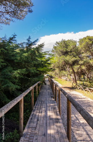 A long wooden bridge  in perspective  crosses the pine forest  to reach the beach of Torre dell Orso  in Salento  Puglia  Italy  Otranto  Melendugno. Railing and wooden handrail. Vanishing Point.