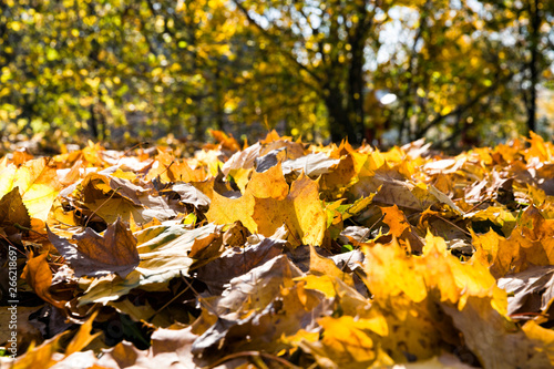 Abstract natural background