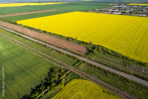 Yellow and green rape fields, aerial view. Сars go on the road. In the distance is the village