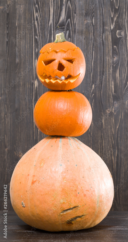 celebration of Halloween celebration of Halloween