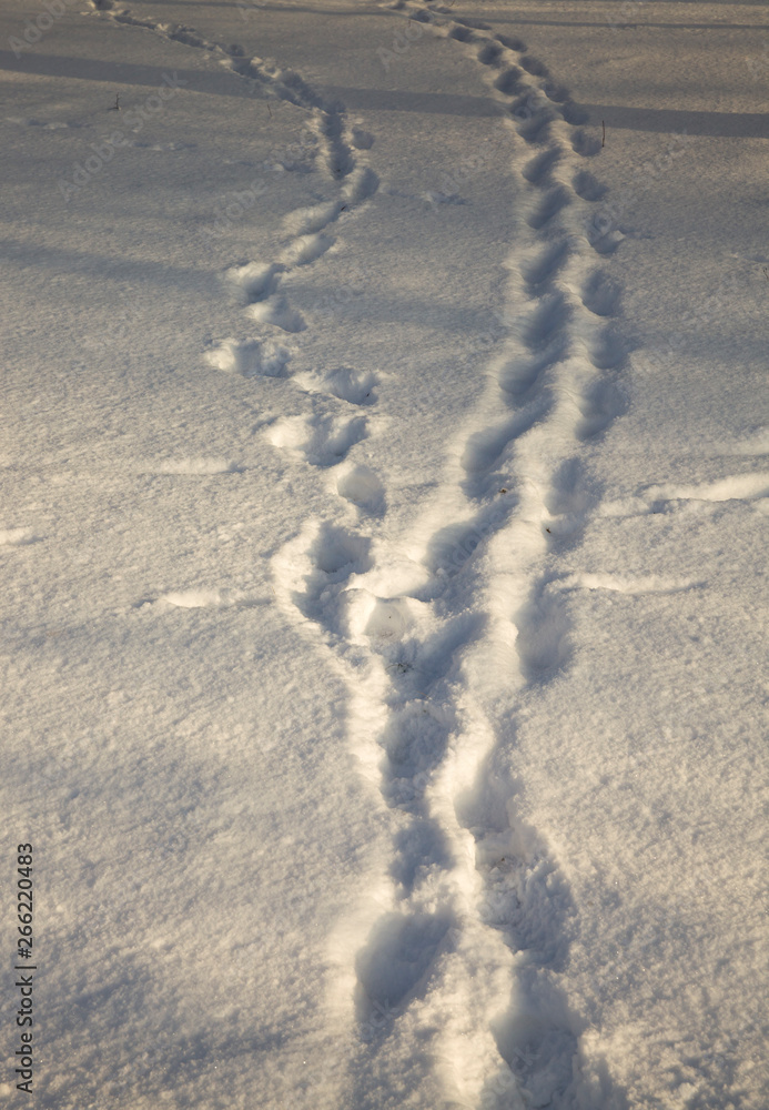 traces of people traces of people