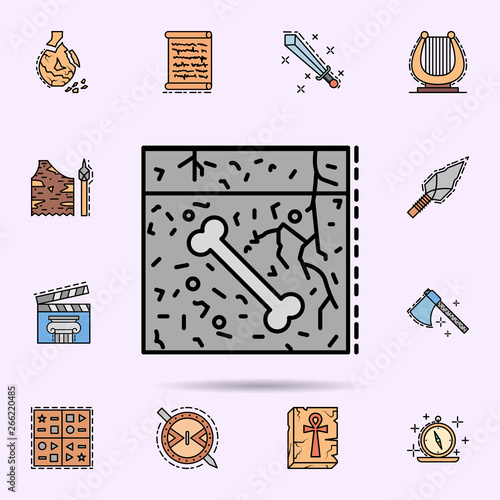 fossil, soil, bone, paleontology icon. Universal set of history for website design and development, app development