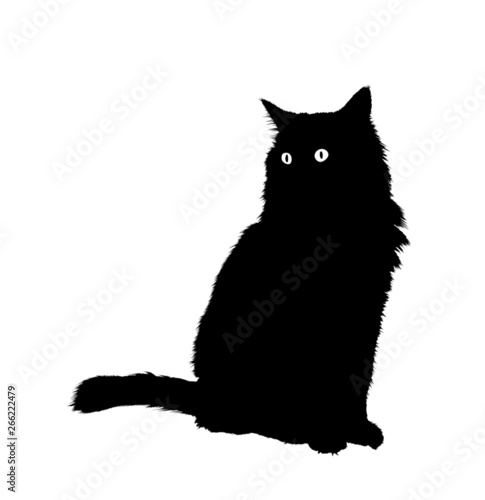 Hairy cat outline silhouette detailed with fur and transparent eyes sitting