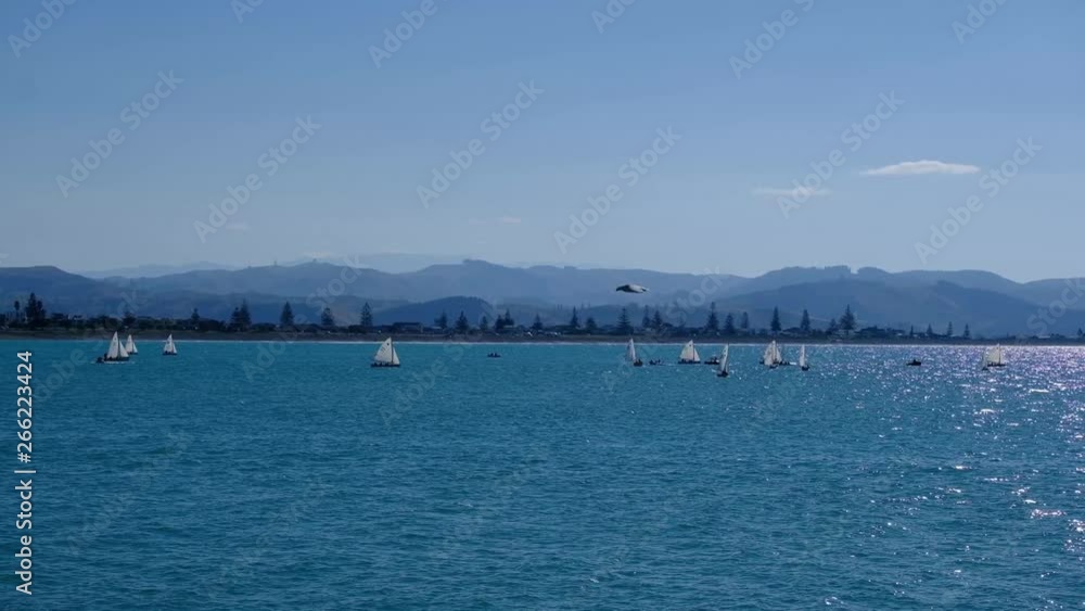 Wide shot of sailboats on vibrant blue ocean at Napier, New Zealand coastline Wide shot of sailboats on vibrant blue ocean at Napier, New Zealand coastline