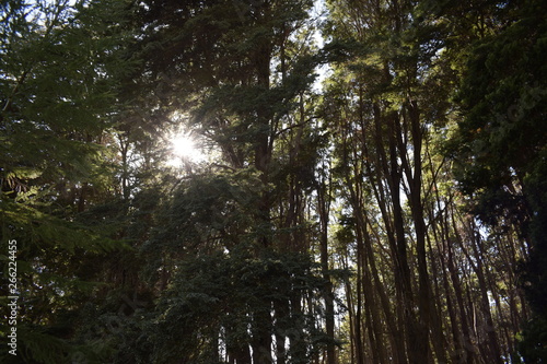 Patagonia, Argentina