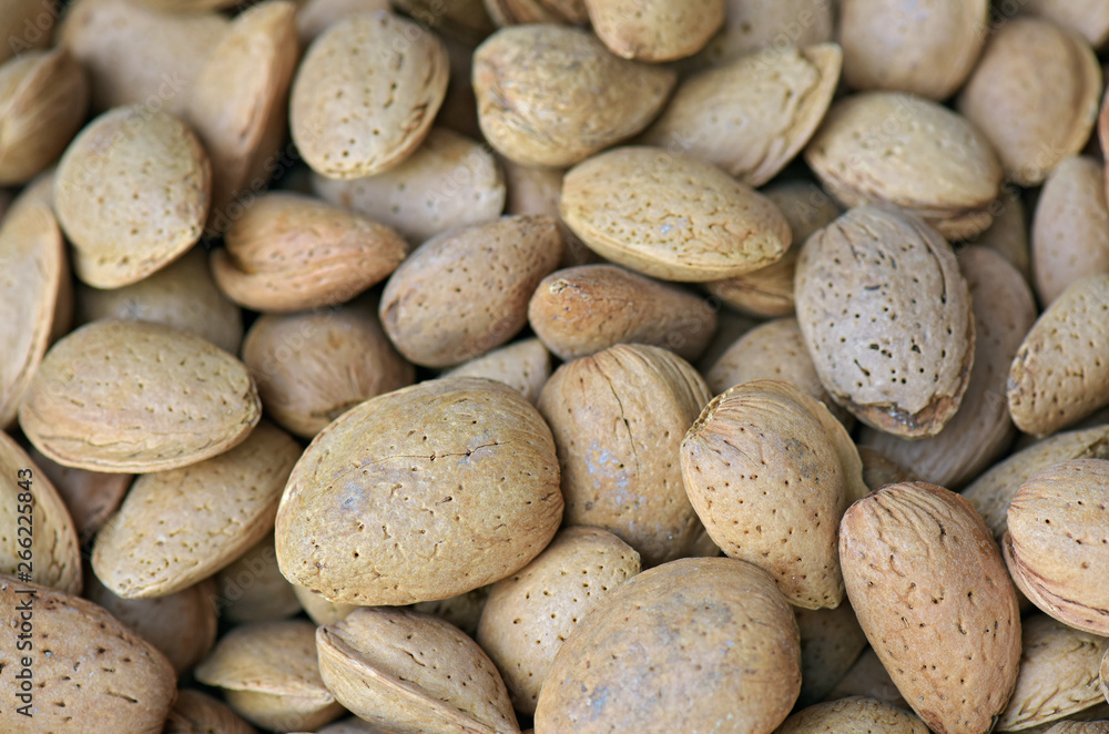 Closeup of portion of almond Closeup of portion of almond