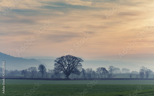 British Countryside Fields at Hazy Sunset