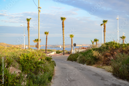 Morning view of small street leading to seacoast on malta with blue sky and many palm trees photo