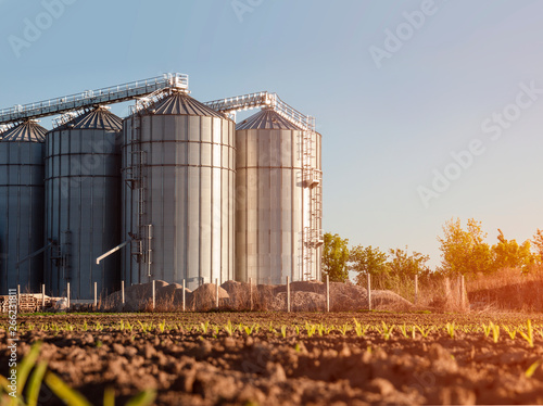 Closeup agricultural silos and young corn starts to grow in foreground  photo