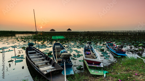 Wooden boat hire, take tourists to see the lotus pond during the sunset landscape