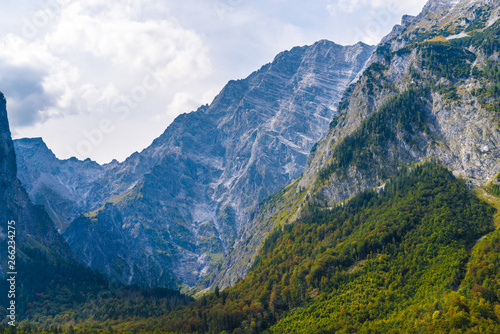 Alps mountains covered with forest, Koenigssee, Konigsee, Berchtesgaden National Park, Bavaria, Germany