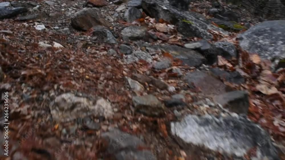 Walking up a rocky, lake trail in the rain Walking up a rocky, lake trail in the rain