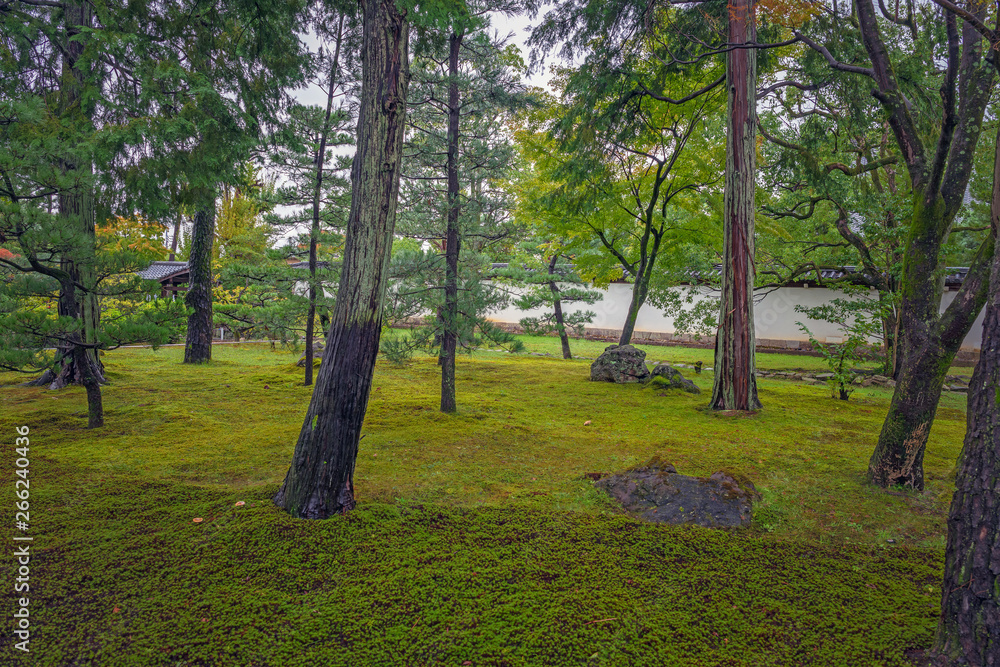 Obraz premium 智積院 境内風景