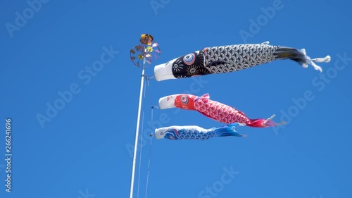 気持ちよさそうに青空を泳ぐ鯉のぼり