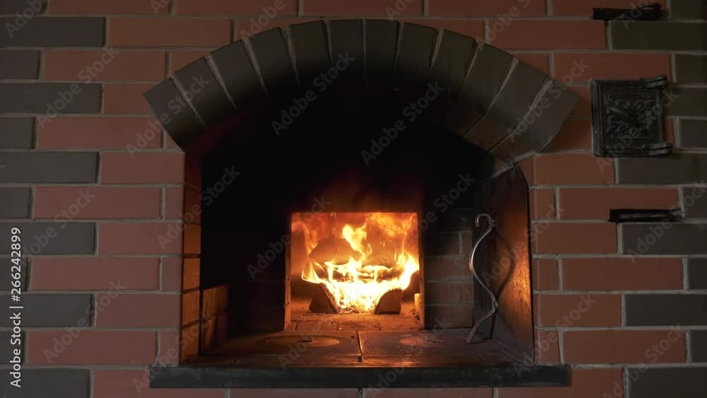 Living fire with jets of smoke and flames in the background Living fire with jets of smoke and flames in the background