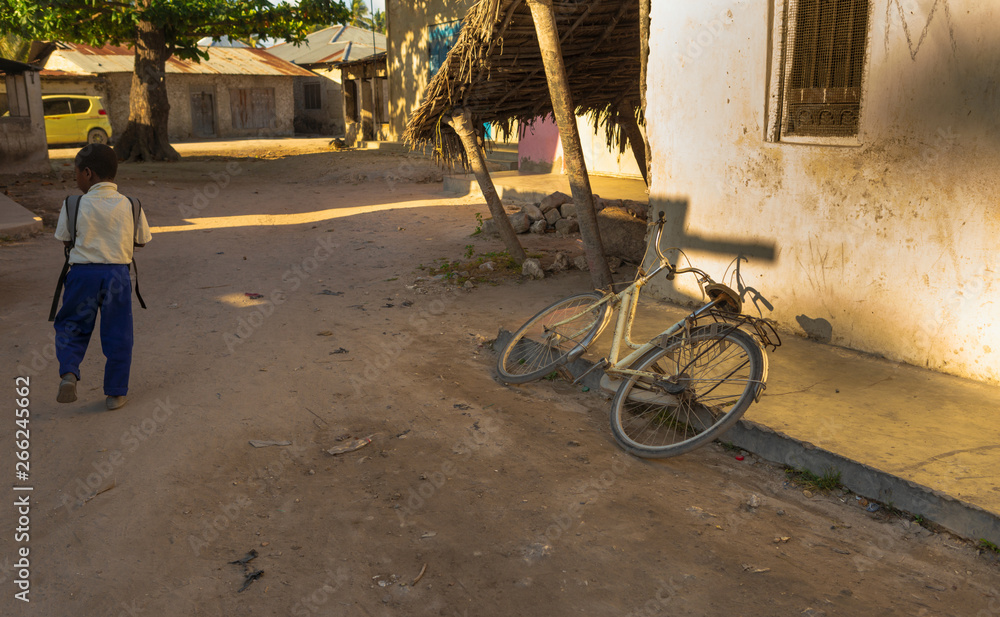 Fototapeta premium Dawn in a local African village. Zanzibar, Tanzania, Africa