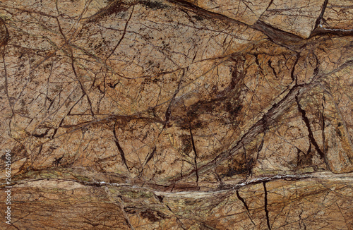 Natural Rain Forest Brown marble texture